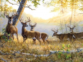 Пазл #55448