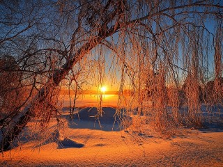 Пазл #36808
