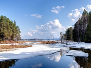 Пазл #71312