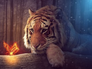 Пазл #42376