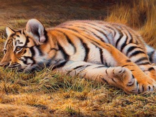 Пазл «Тигрёнок»