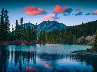 Пазл «Тихое местечко»