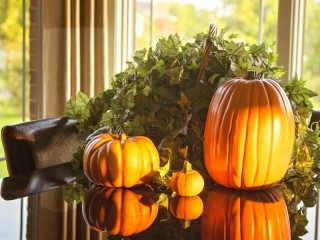 Пазл «Тыквы в отражении»