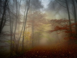 Пазл #65134