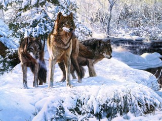 Пазл #54063