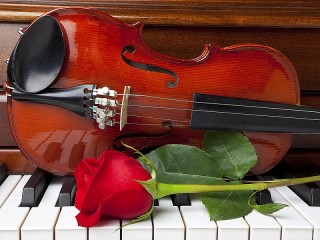 Пазл «Трио»