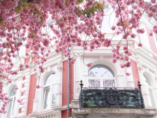 Пазл #8810