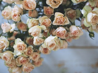 Пазл «Розы»