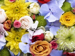 Пазл «Цветы»