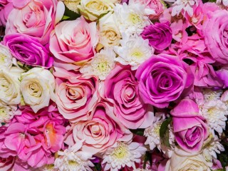 Пазл «Цветы»