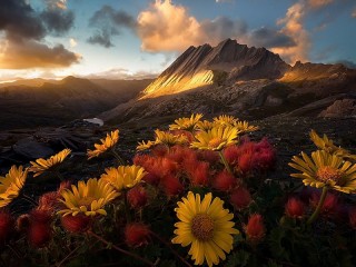 Пазл #63559