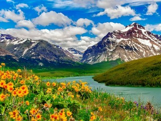Пазл #57439