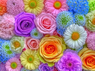 Пазл «Цветочное ассорти»