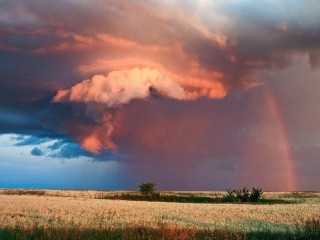 Пазл #62334