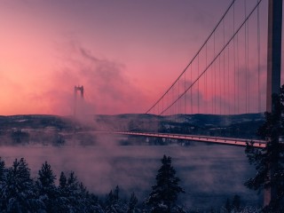 Пазл #20472