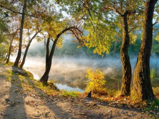 Пазл #59671