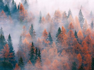Пазл #7589