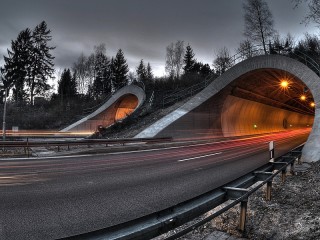 Пазл #20671