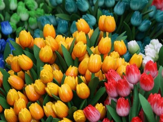 Пазл «Тюльпаны»