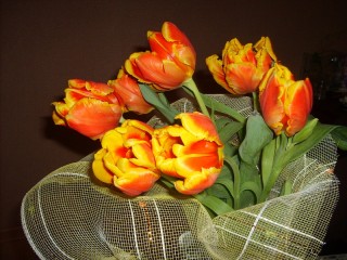 Пазл «Тюльпаны»