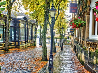 Пазл «Улица после дождя»