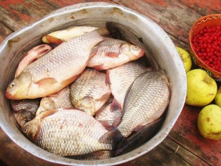 Пазл «Улов»