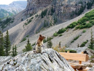 Пазл «В горах»