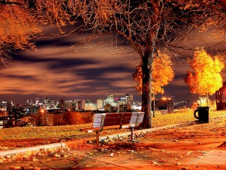 Пазл #615