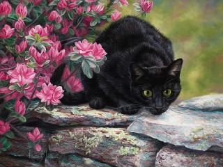 Пазл #62125