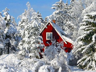 Пазл «В зимнем лесу»