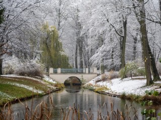 Пазл «В зимнем парке»