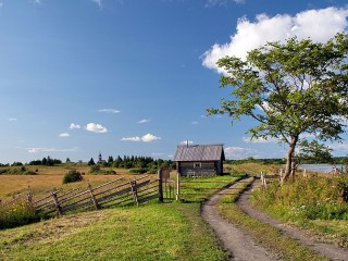 Пазл #17421