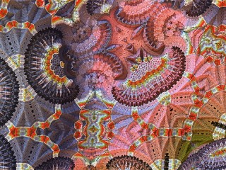 Пазл «Веера»