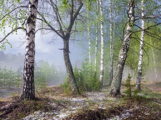 Пазл #59597