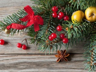 Пазл «Ветка с бантиком»