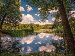 Пазл #55786