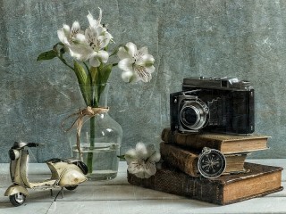 Пазл #58144