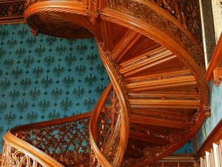 Пазл #34520