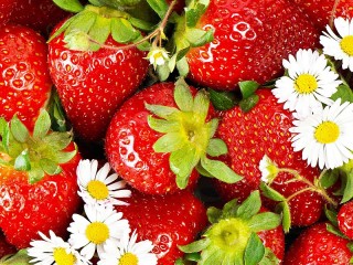 Пазл «Вкус лета»
