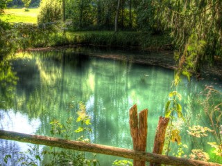Пазл «Водоемчик»