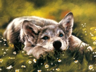 Пазл #61315