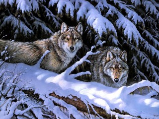 Пазл «Волки»