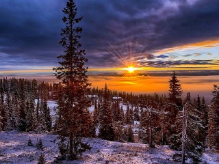 Пазл #70873