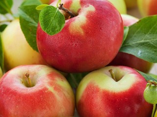 Пазл «Яблоки»