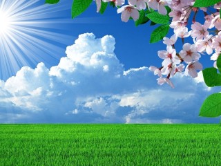 Пазл «Яркая весна»