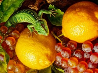Пазл «Ящерица и лимоны»