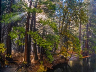 Пазл «Yosemite»
