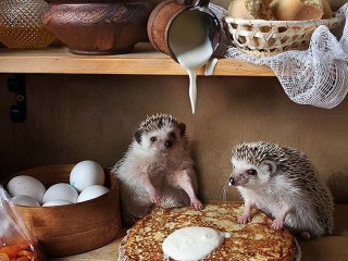 Пазл #9082