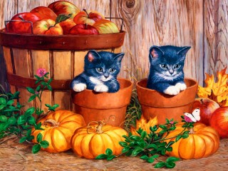 Пазл «Забавные котята»