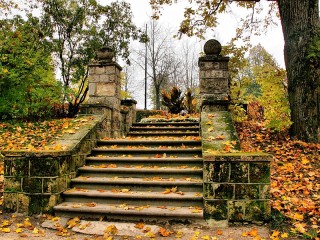 Пазл #64594
